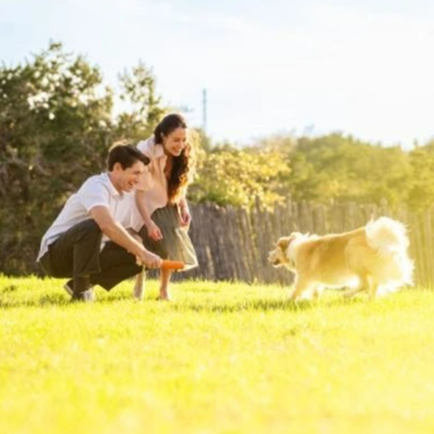 How to Install an Air Conditioner 14x22x2 Air Filter: A Step-by-Step Guide to Ensuring Optimal Performance and Air Quality in Your AC System