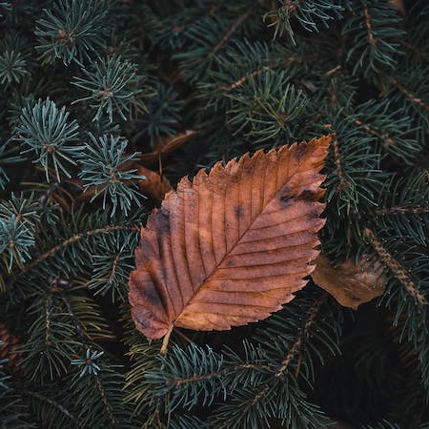 How Do I Recover from an Unbearable Tragedy?