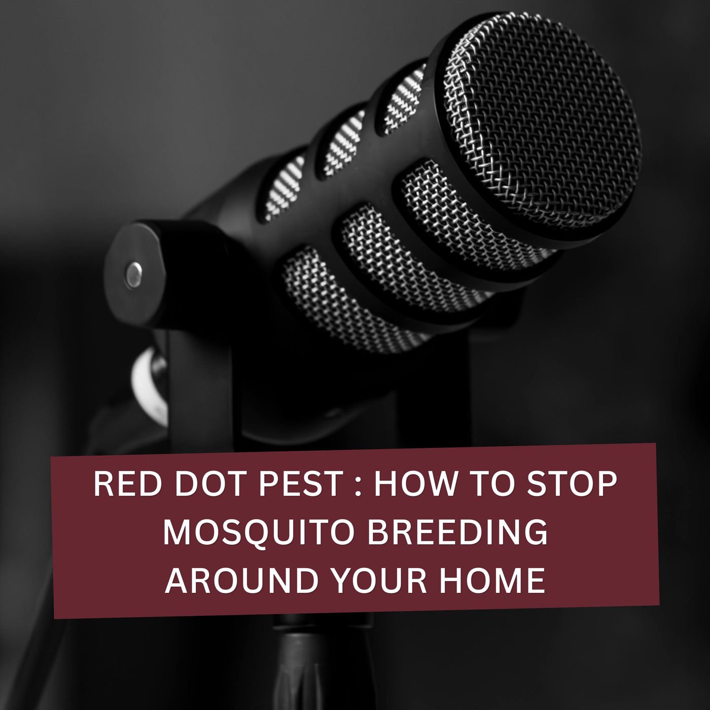 Red Dot Pest : How to Stop Mosquito Breeding Around Your Home episode artwork