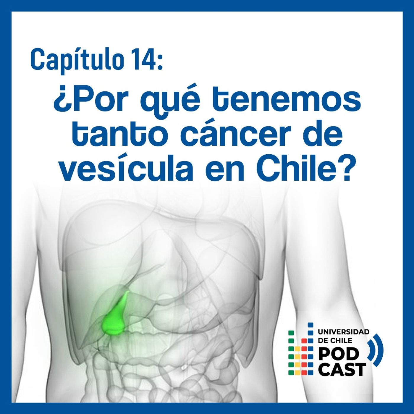 Universidad de Chile Podcast