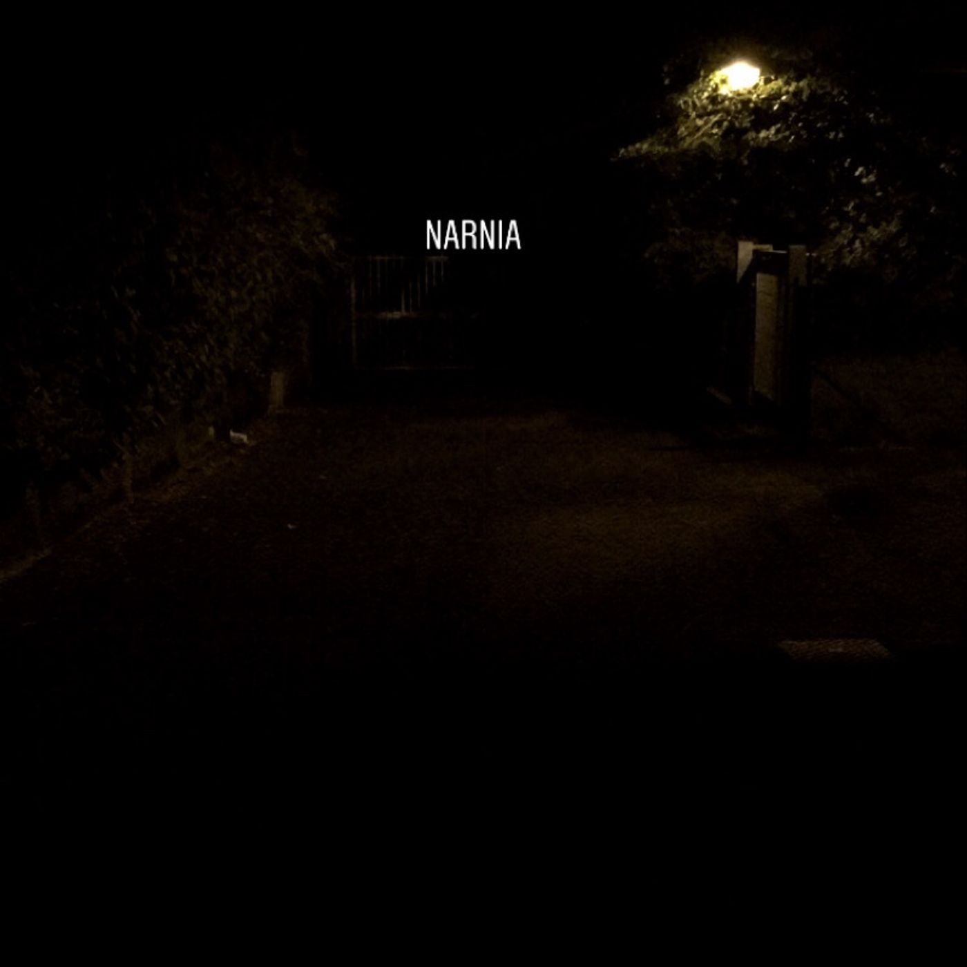 IN SILENZIO SUL BINARIO