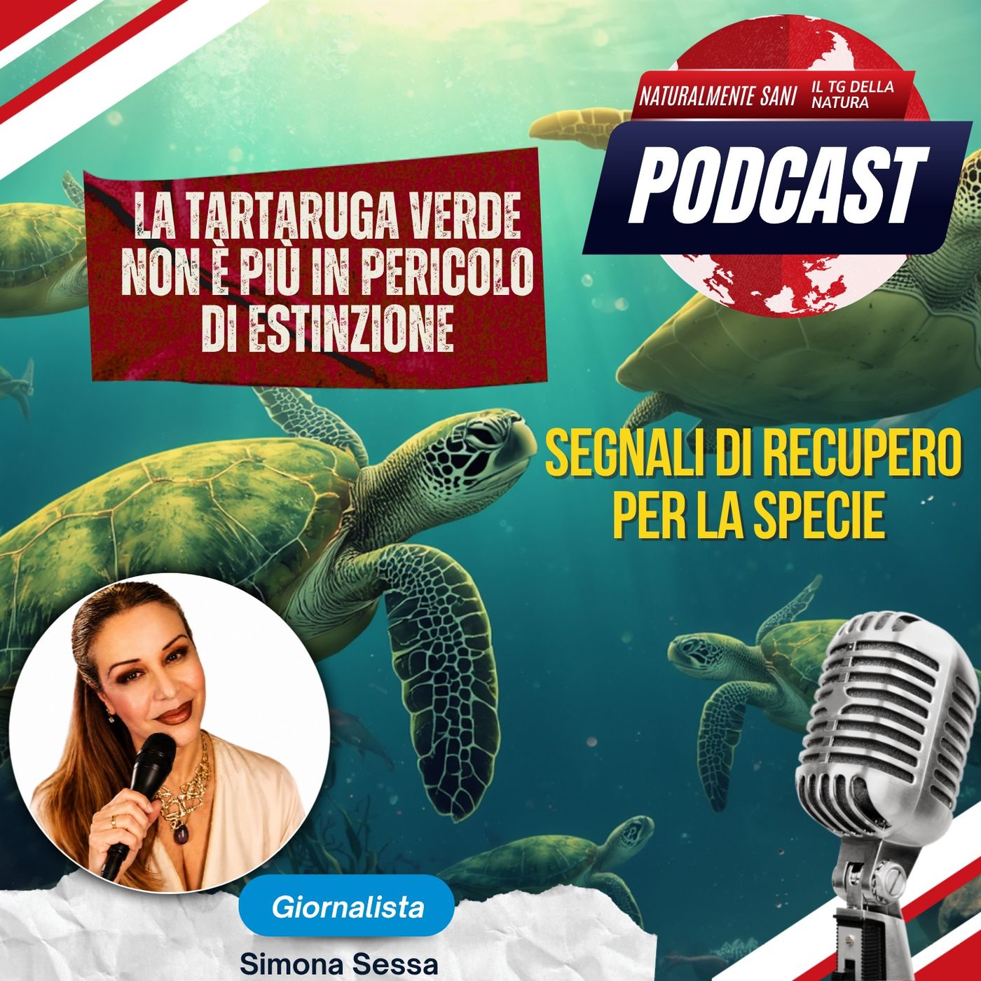 La tartaruga verde non è più in pericolo di estinzione: segnali di recupero per la specie - Il TG della Natura episode artwork