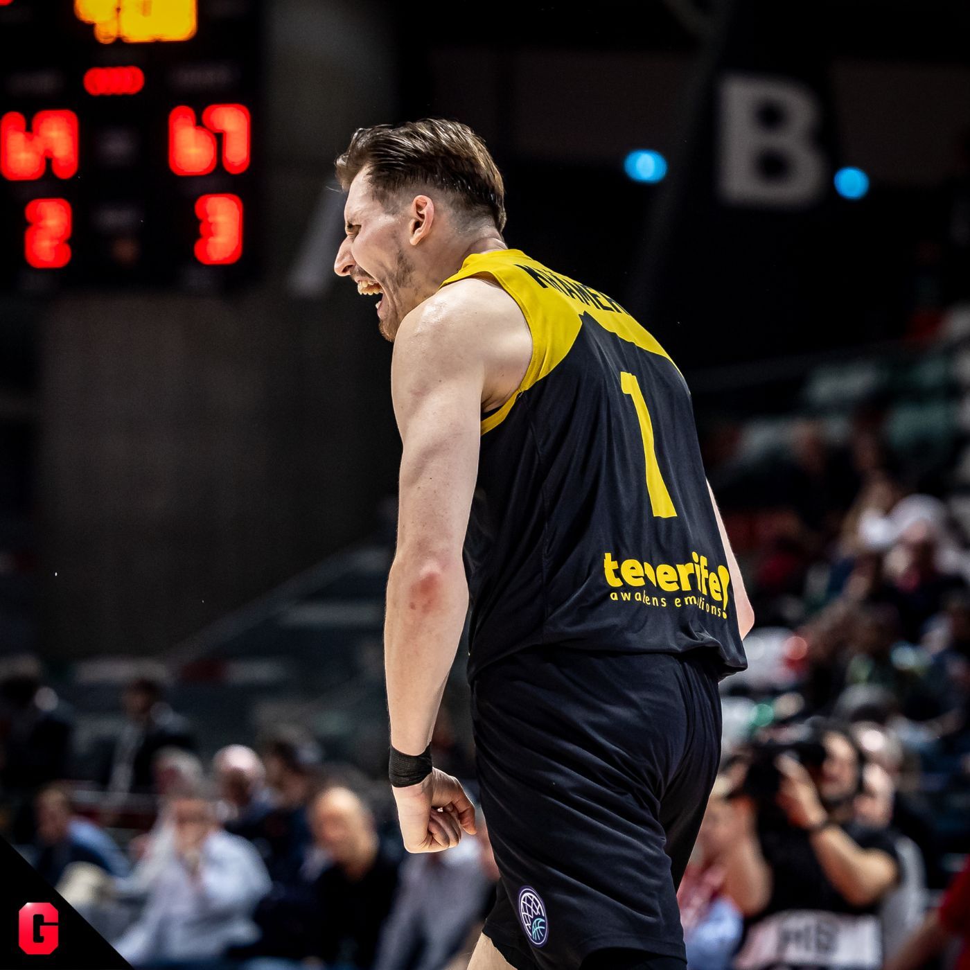 Gigantes Daily, baloncesto al día