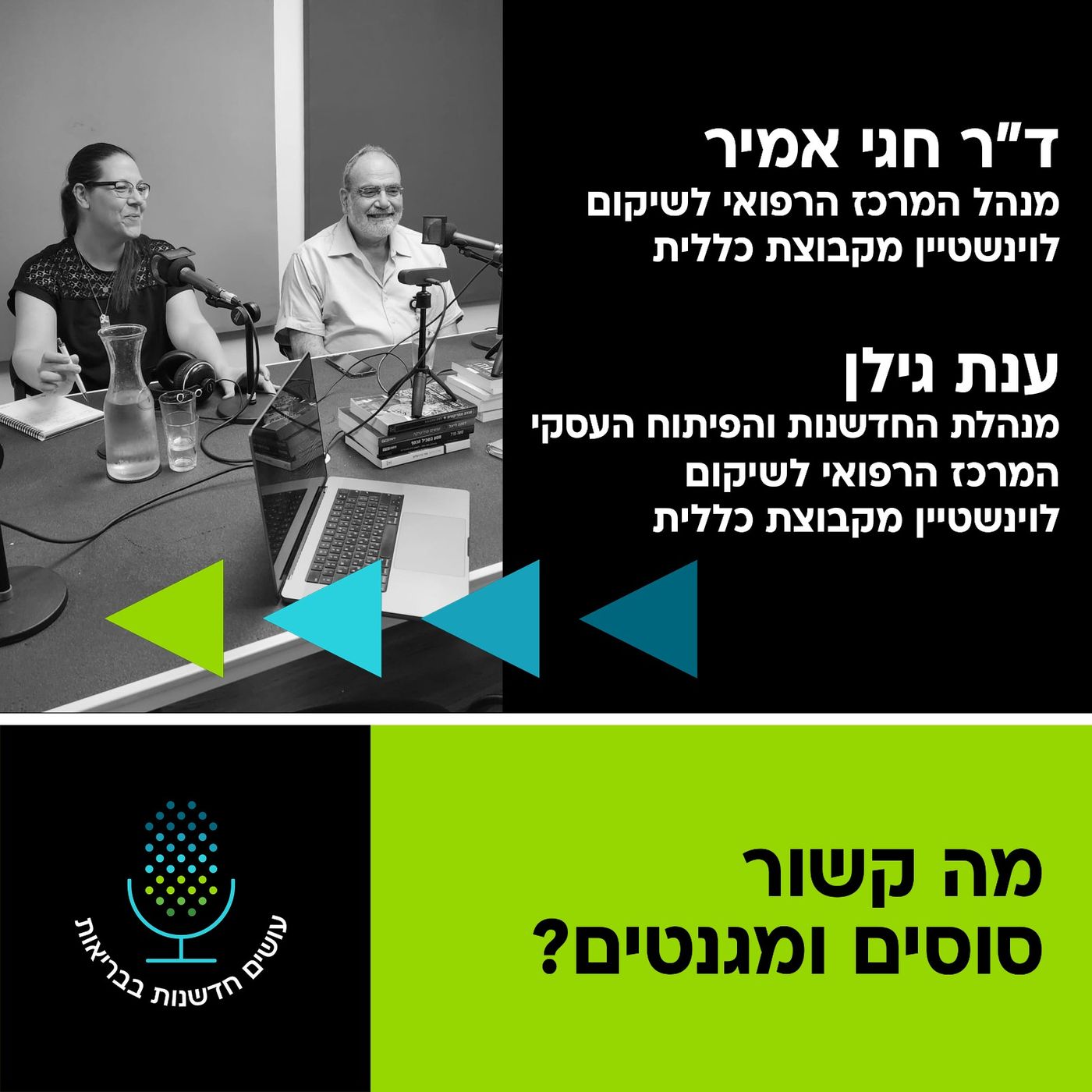 מה קשור סוסים ומגנטים? [עושים חדשנות בבריאות]