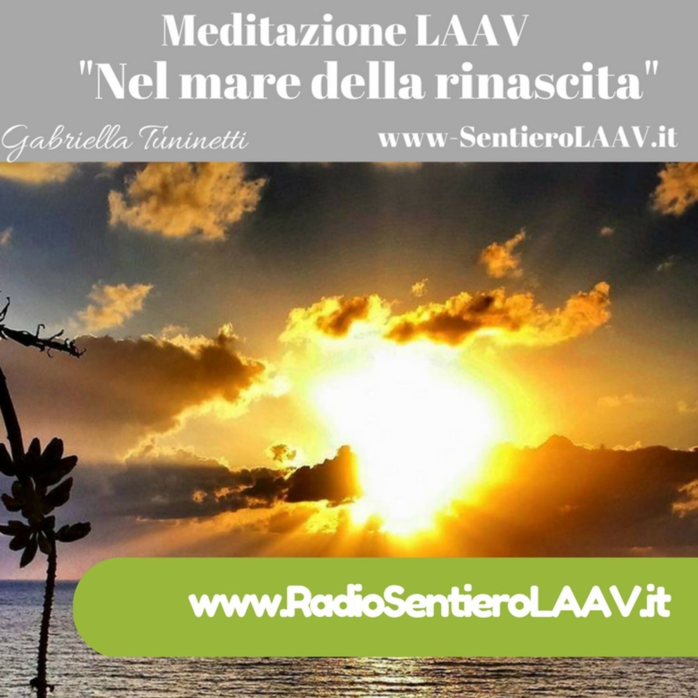 Riflessioni e MeditazioneLAAV® " Nel mare della rinascita" episode artwork