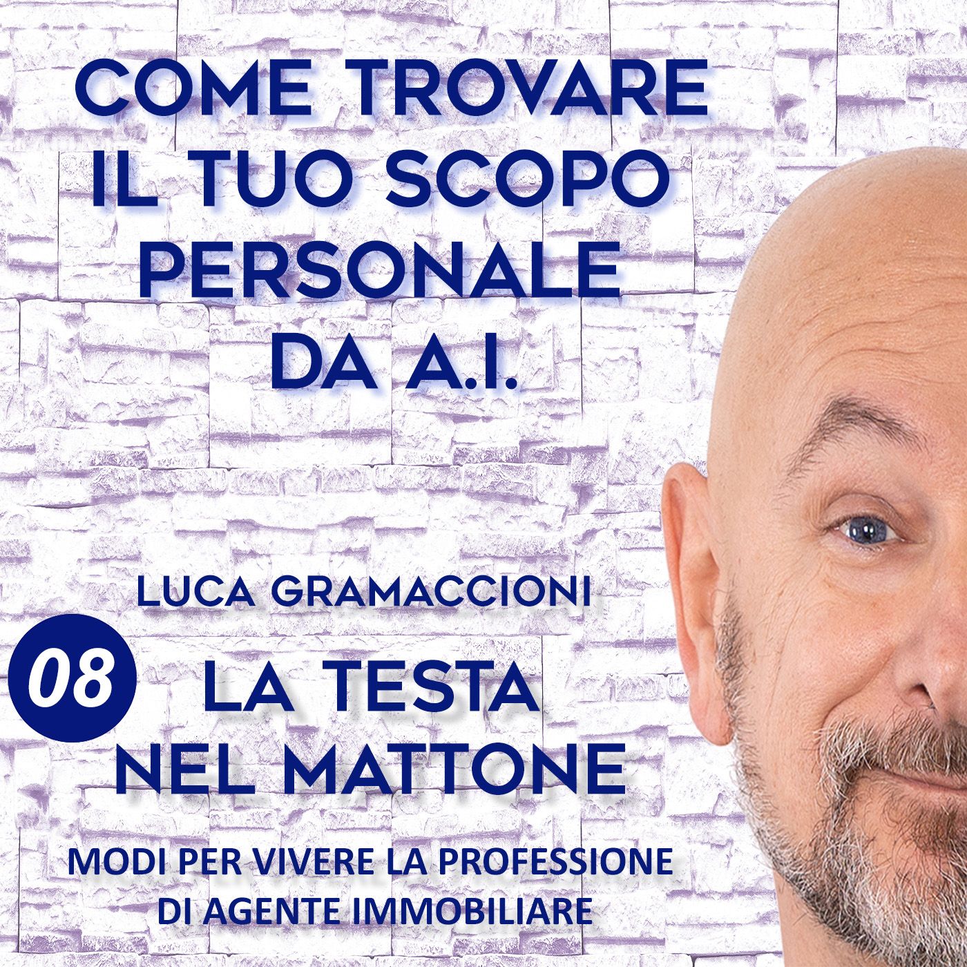 LA TESTA NEL MATTONE