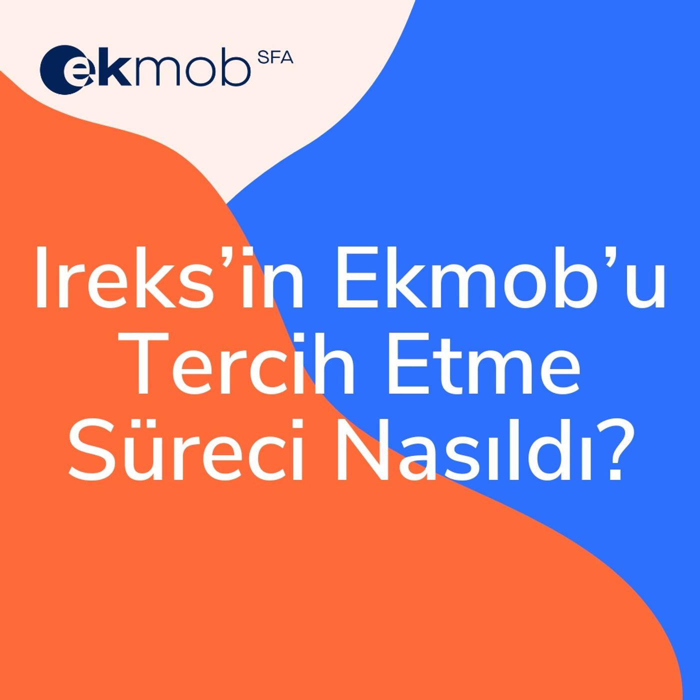 Satış Ekibi Yönetimi