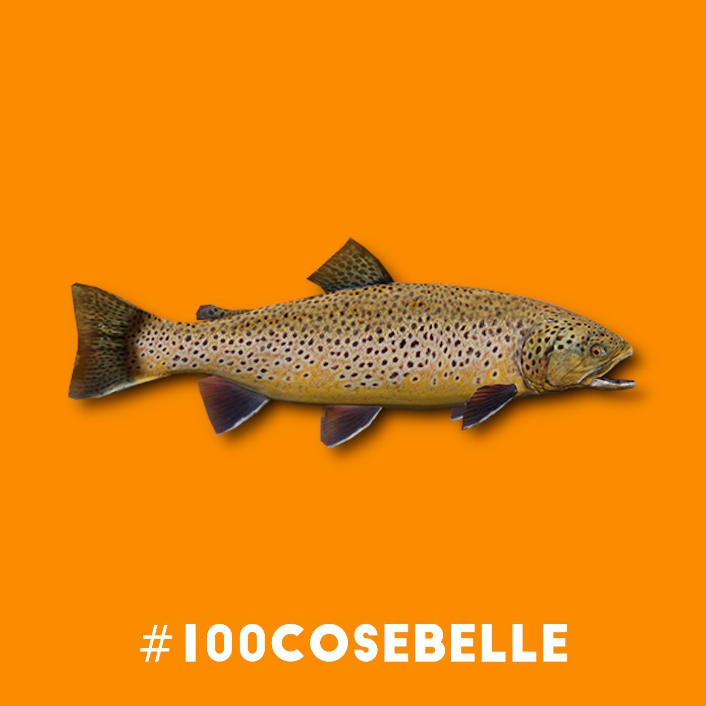 #100cosebelle