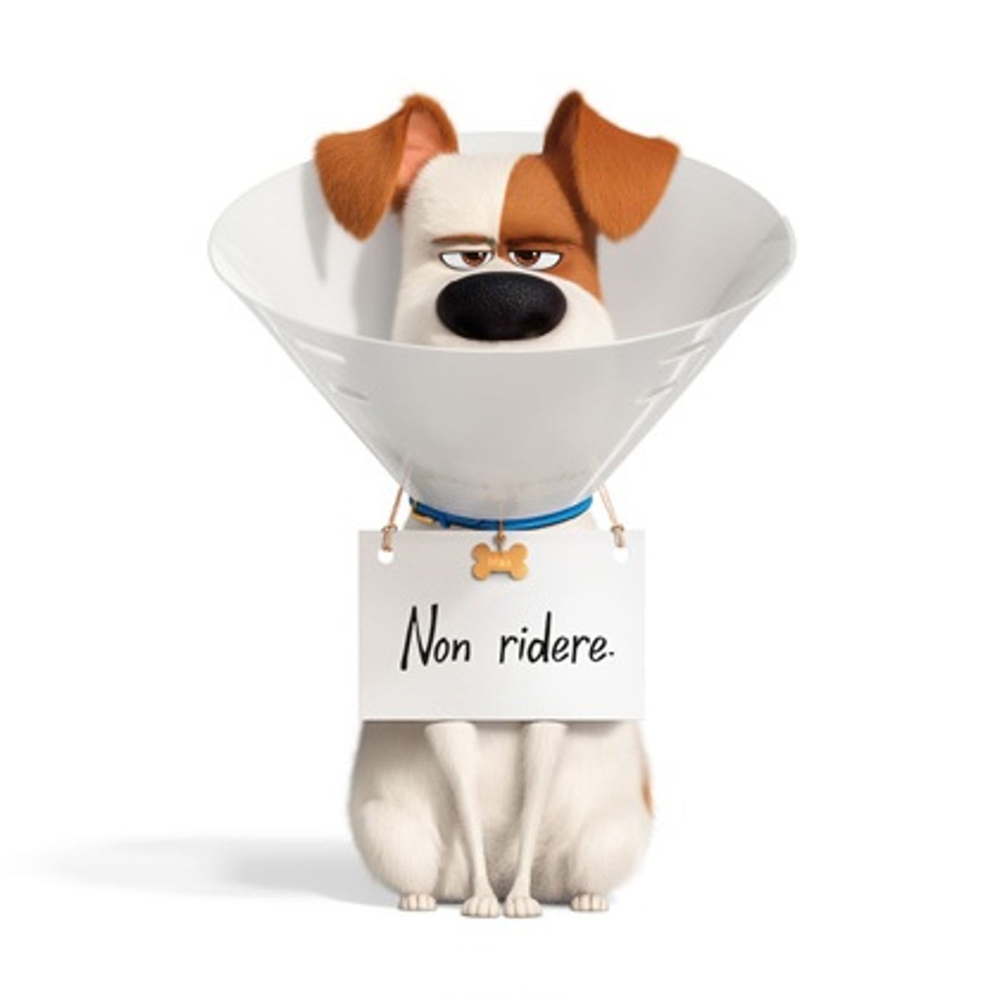 PETS 2 - Barbie Reviù! Recensione (NO SPOILER) episode artwork