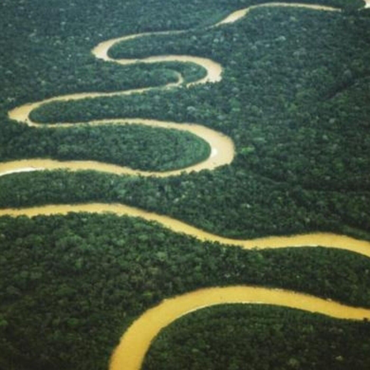 Historias de Miedo Agosto 24 2020 LOS GIGANTES DEL AMAZONAS