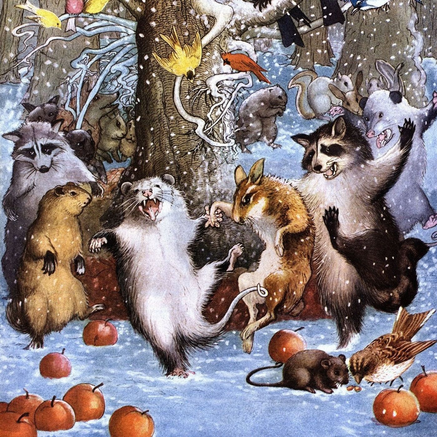 Aspettando Natale Ogni giorno una storia