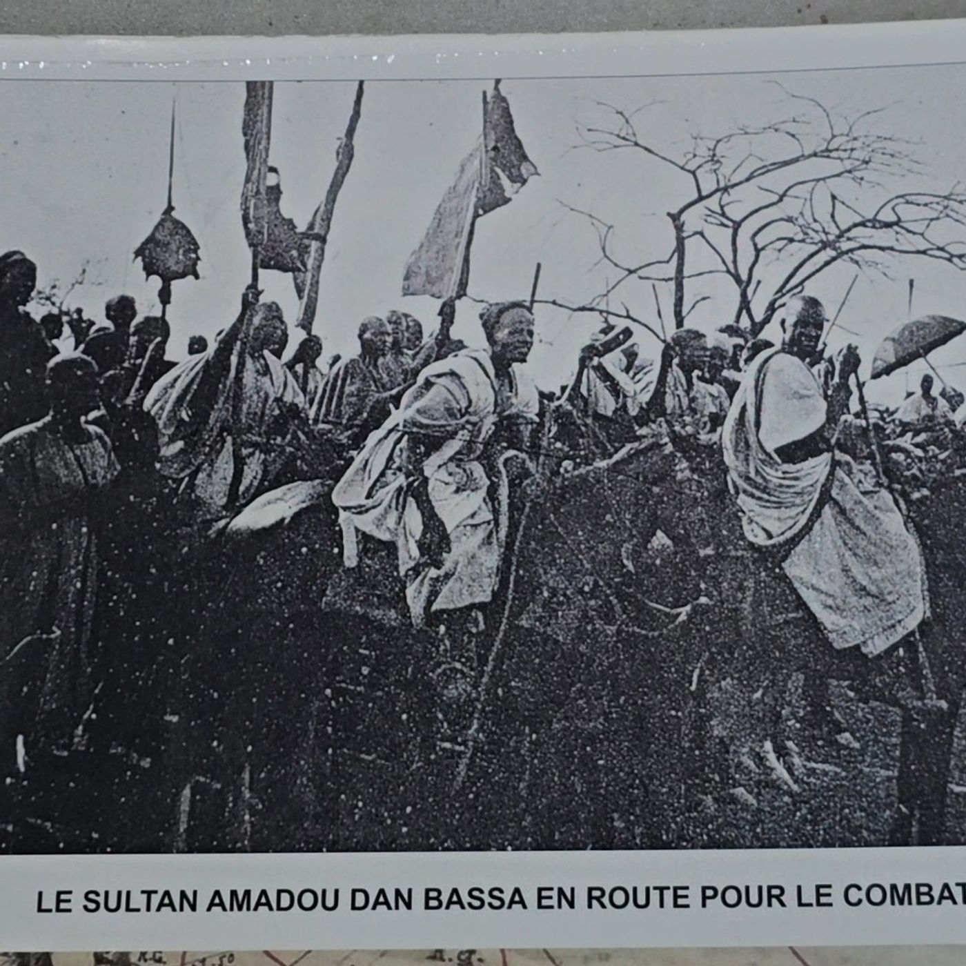 Hommage à l’ancien sultan Amadou Dan Bassa à l’occasion de la fête nationale de l’arbre à Zinder (Niger sur kalangou) episode artwork