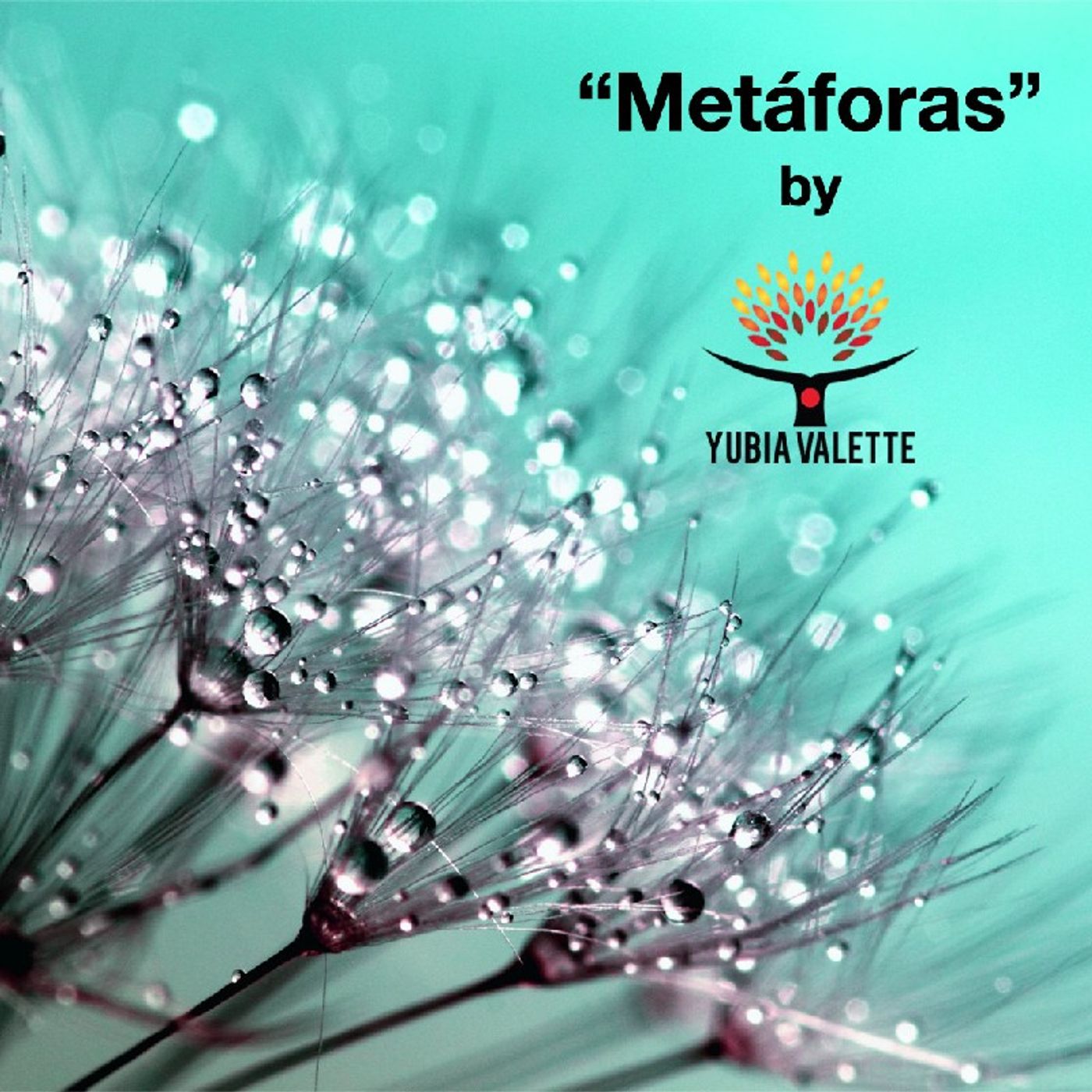 Metaforas