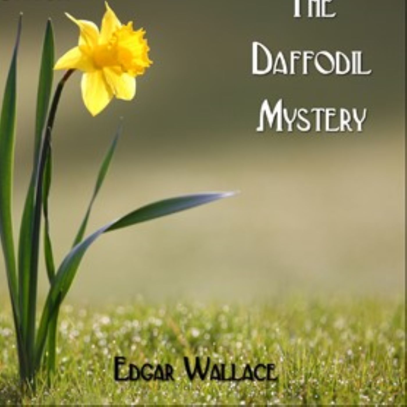 Novels you don’t know