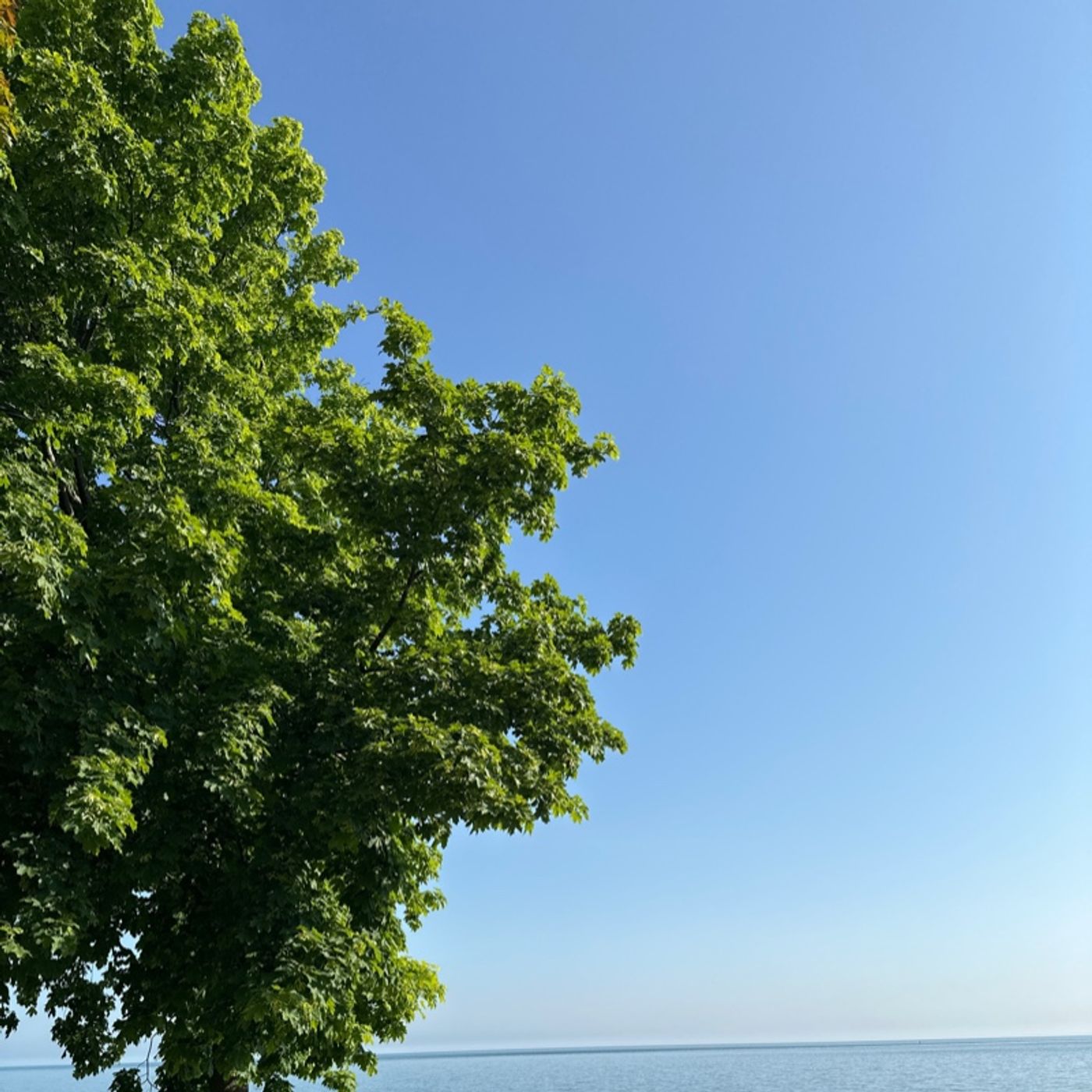 Tuesday at the Lake