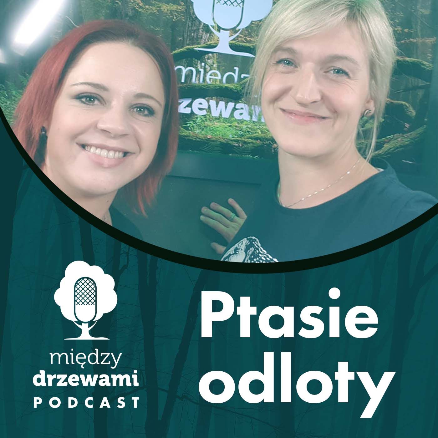 Między Drzewami Podcast
