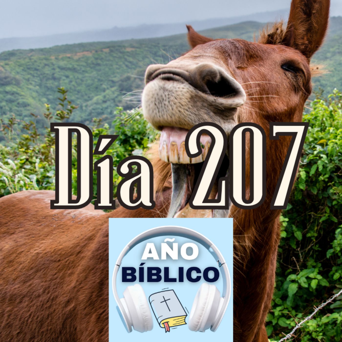 Día 207 - Salmos 86:1-7, Esdras 6:19-22; Esdras 7-8 y Romanos 16:17-27 episode artwork
