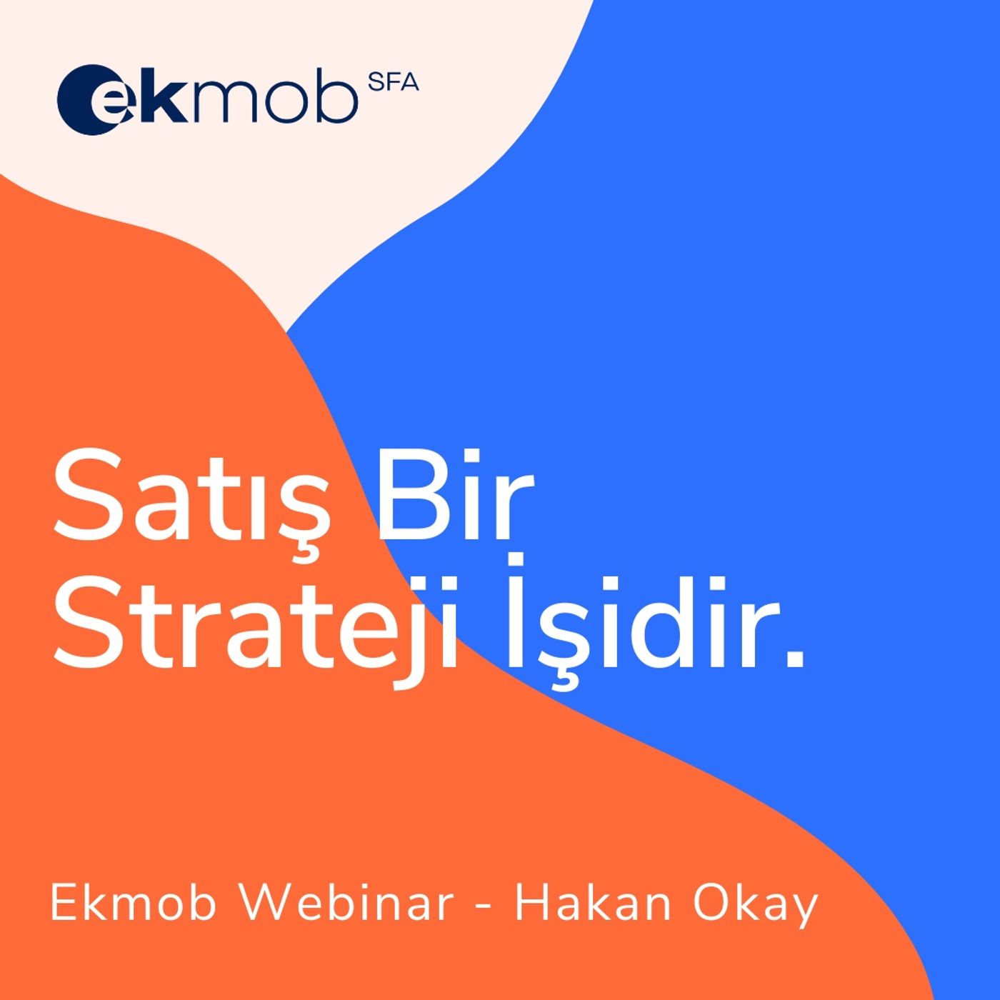 Satış Ekibi Yönetimi
