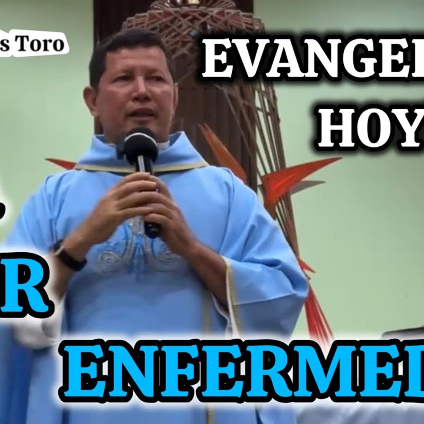 16-26_ Fiesta Nuestra Señora de Lourdes desde Curazao_ Padre Luis Toro episode artwork