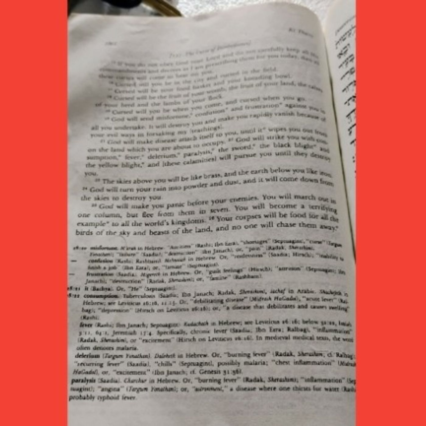 Torah With Simcha