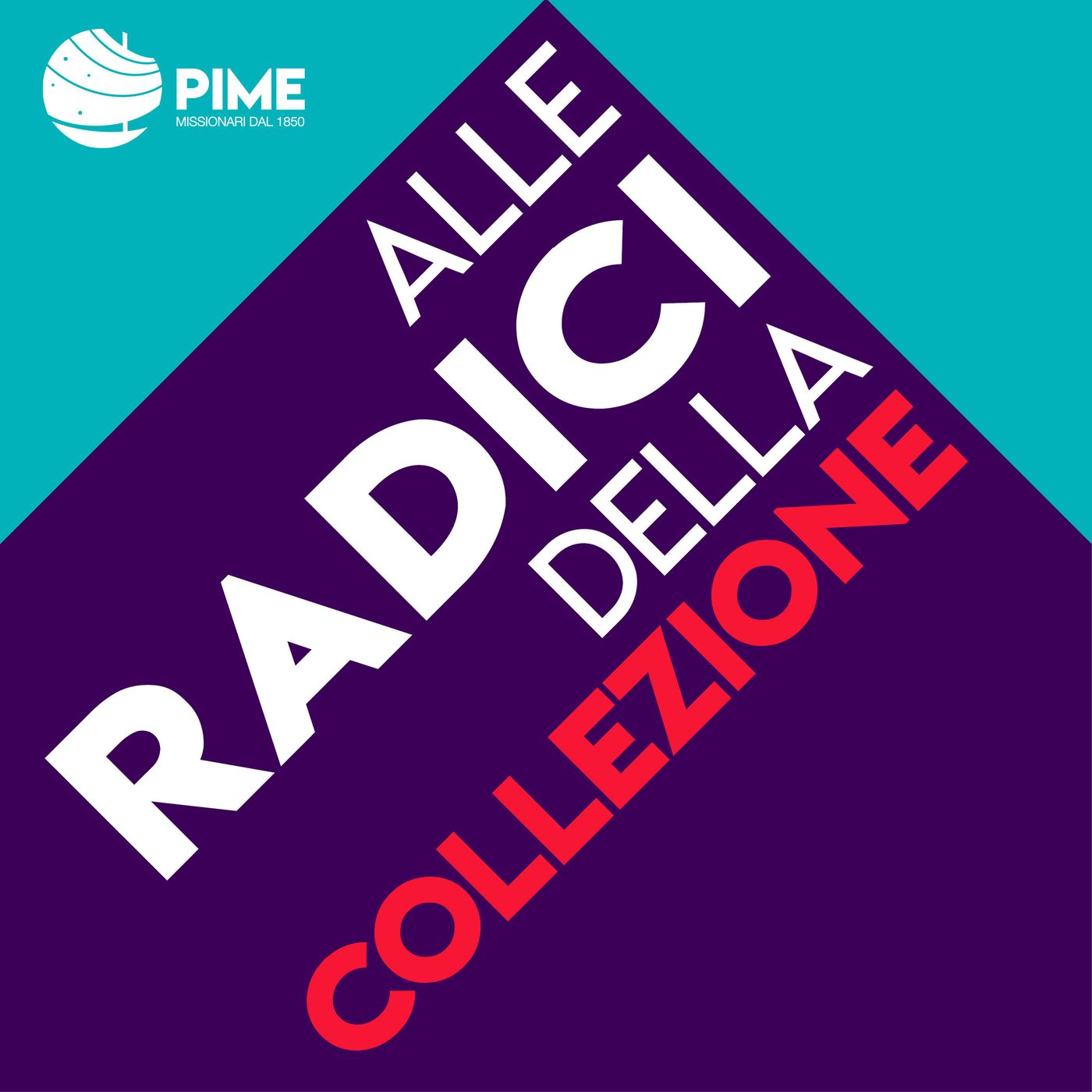 Alle radici della collezione