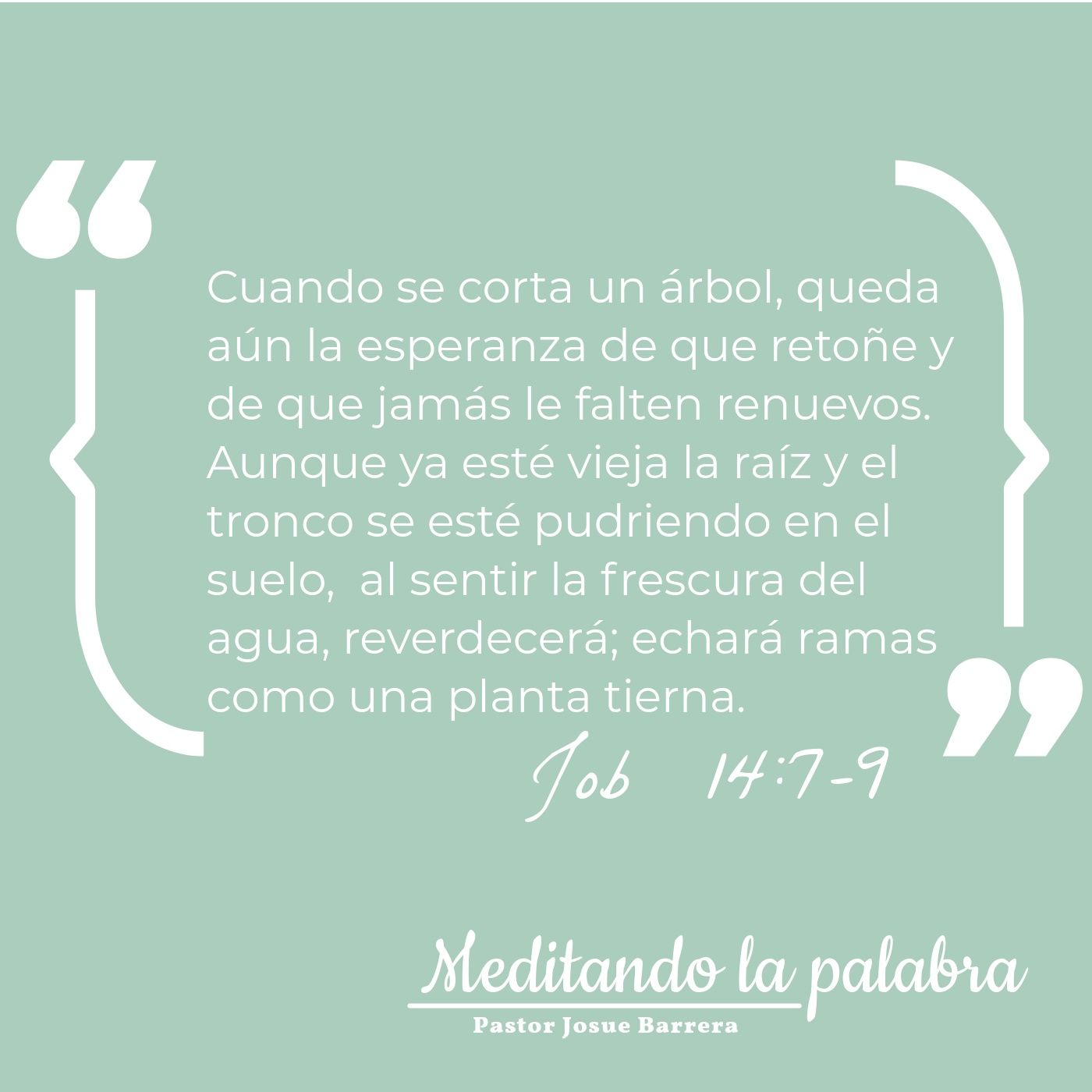 Meditando la palabra