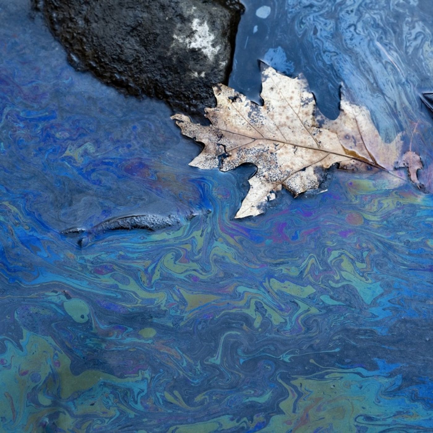 Poisoned, exploited, abandoned: East Palestine, OH, three years later