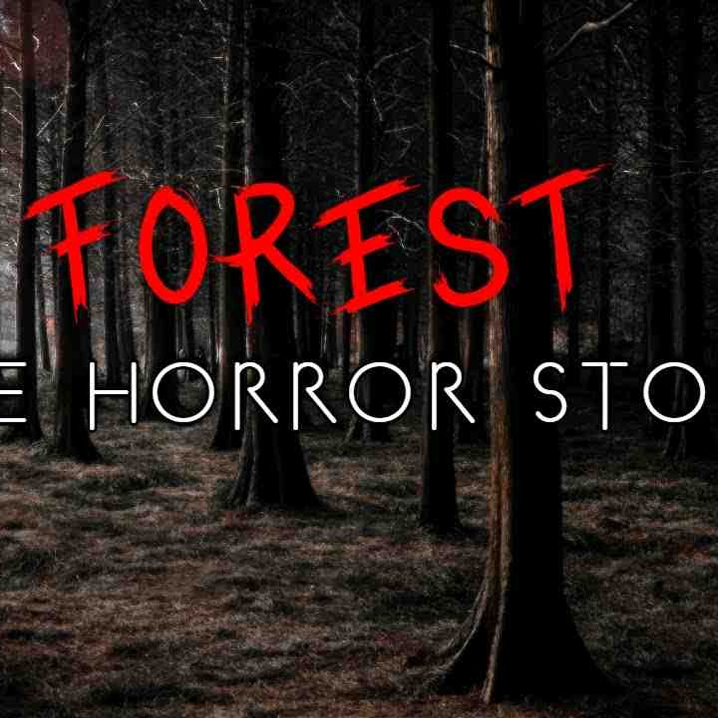 3 Unnerving Forest Hiking _ Camping Horror Stories
