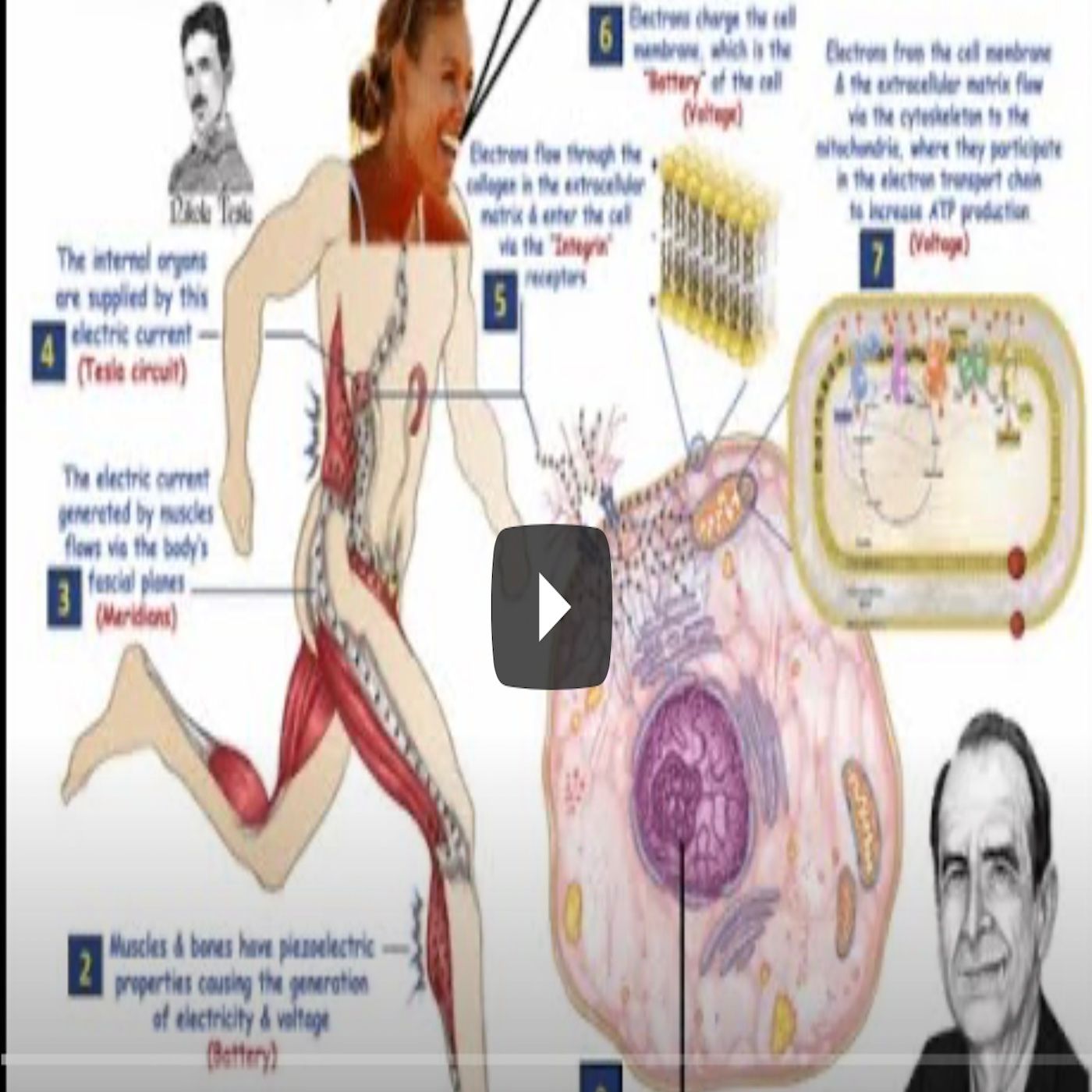Your DIY Health ~ Natural Solutions ~ M-Th  1:00 p.m. - 3:00 p.m. EST / Tue & Thur 10 a.m. - Noon