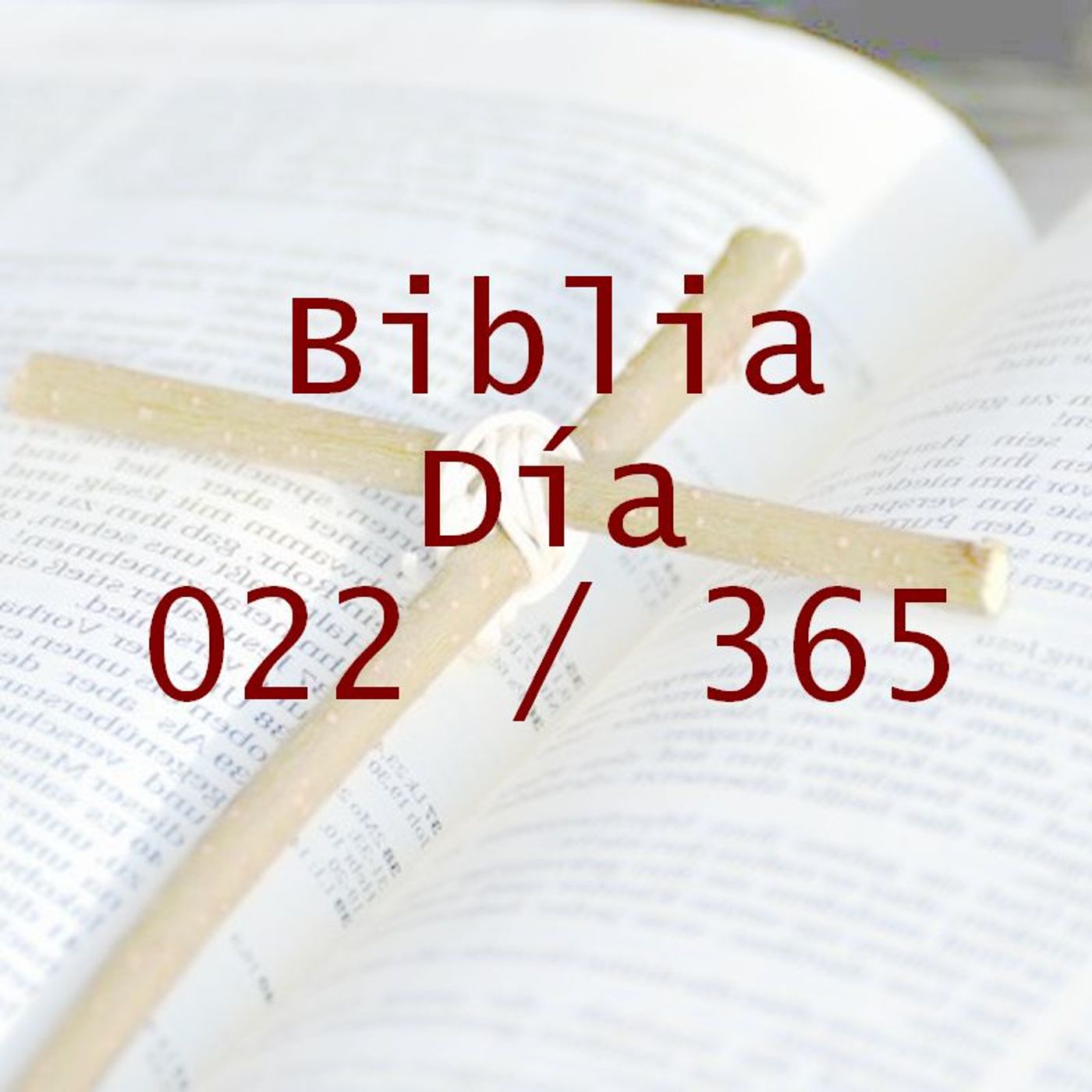 La Biblia en 365 dias