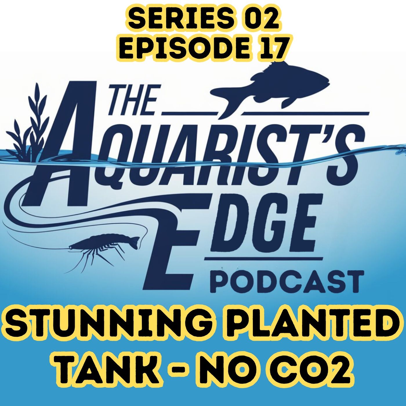 The Aquarist\'s Edge