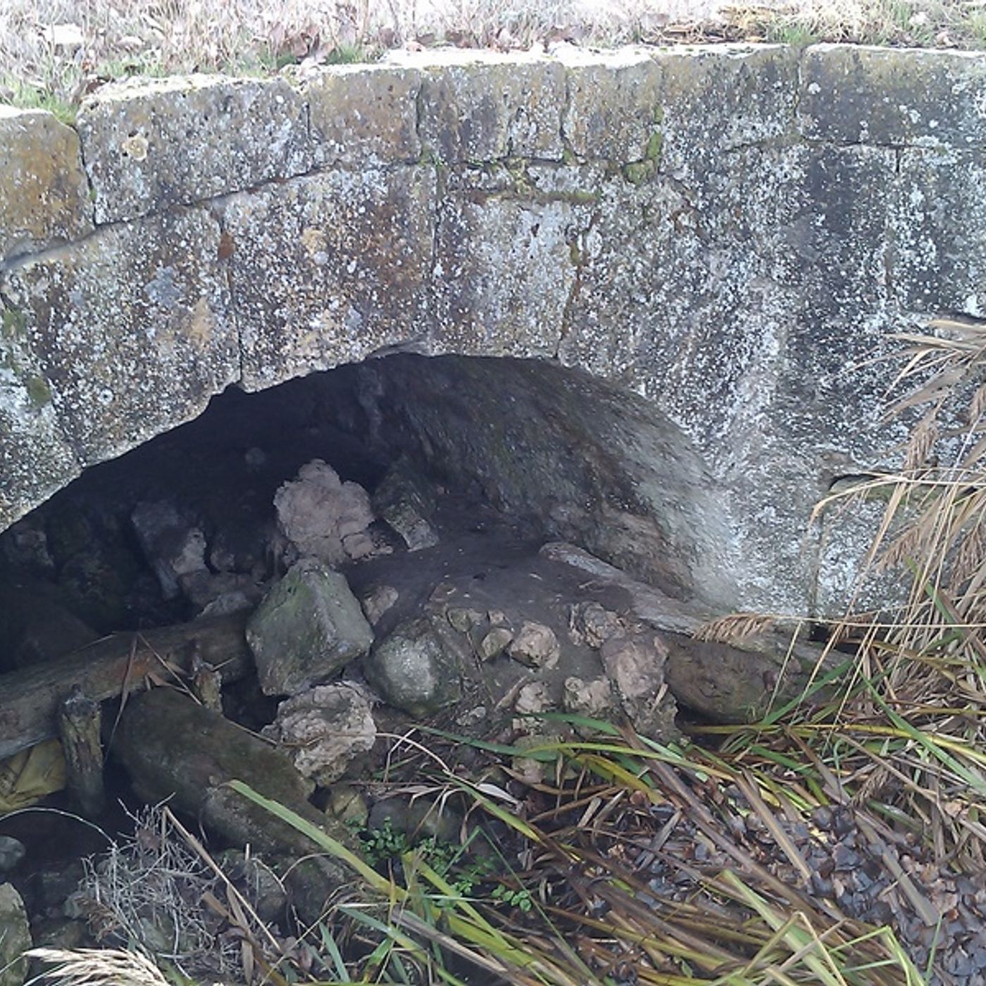 Historias de Miedo Mayo 31 de 2022 ME QUERIAN PERDER