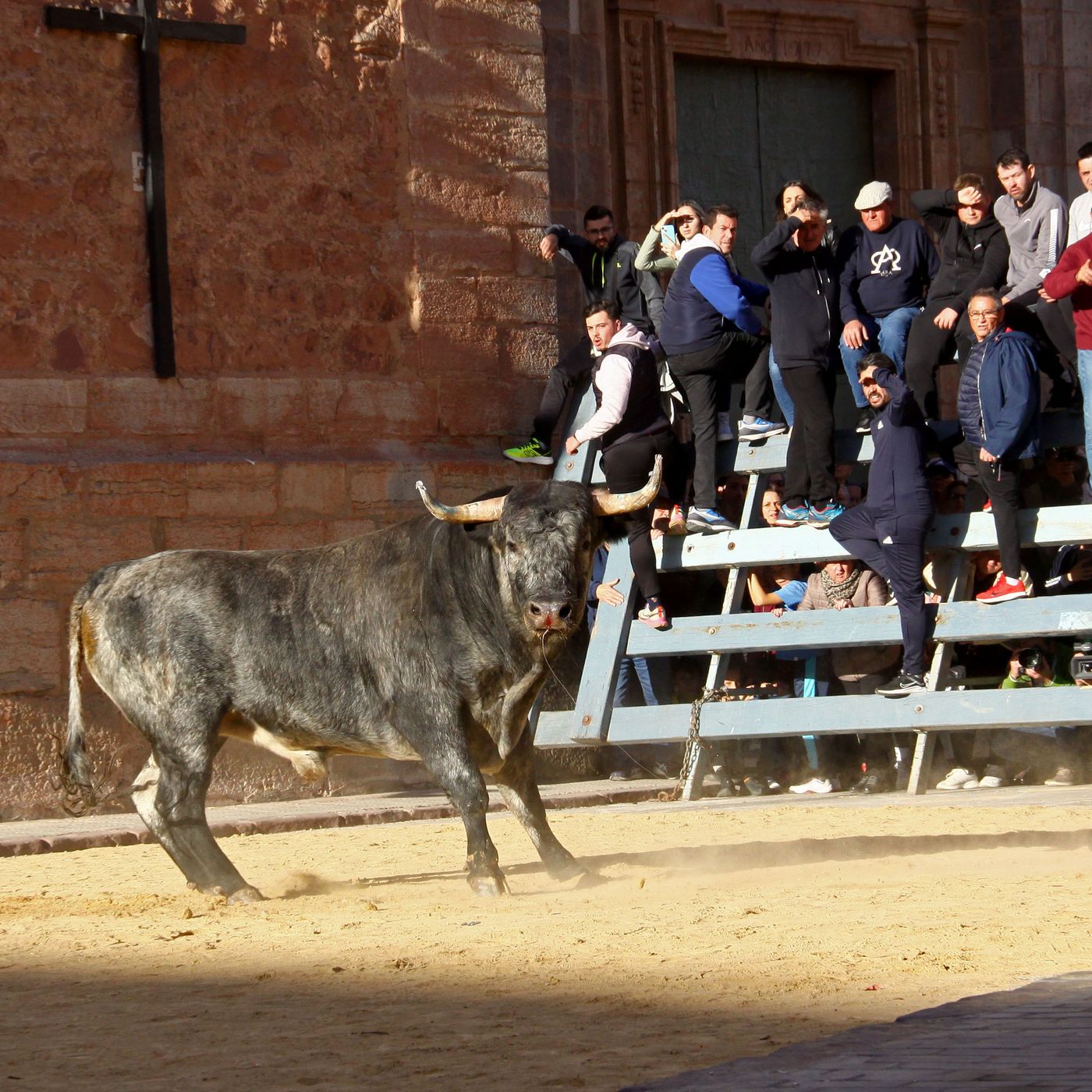 Hablemos de Toros