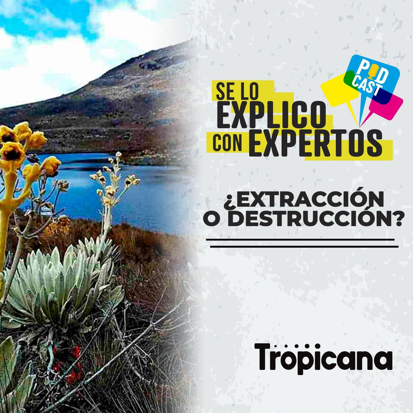 ¿Es posible realizar minería sin comprometer nuestros recursos naturales? episode artwork