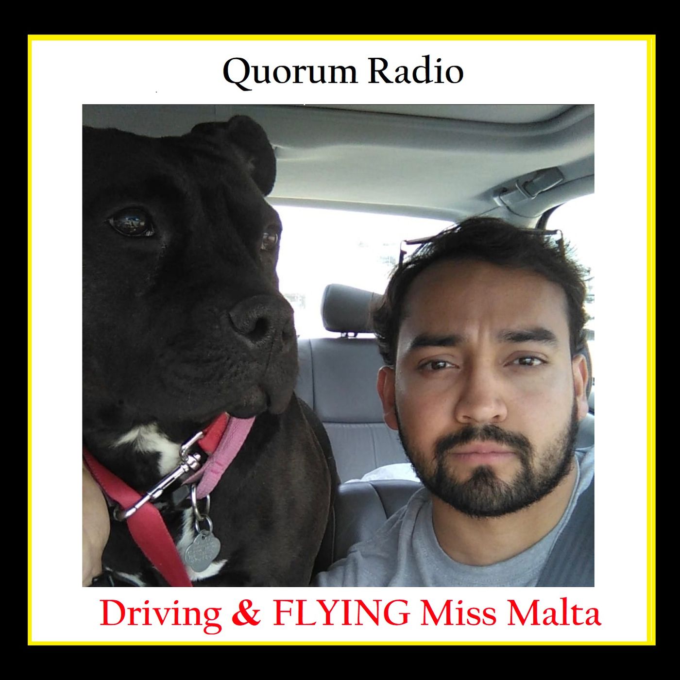 QUORUM RADIO: Transporting  My Favorite Staffordshire Bull Terrier to Peru-06-09-25