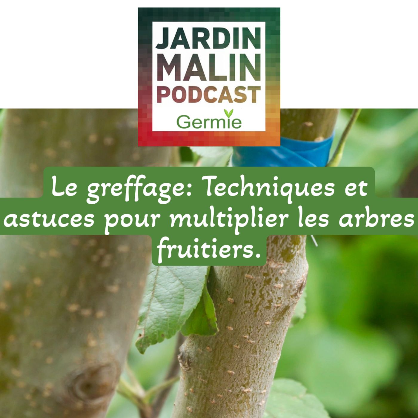 JARDIN MALIN by Germie