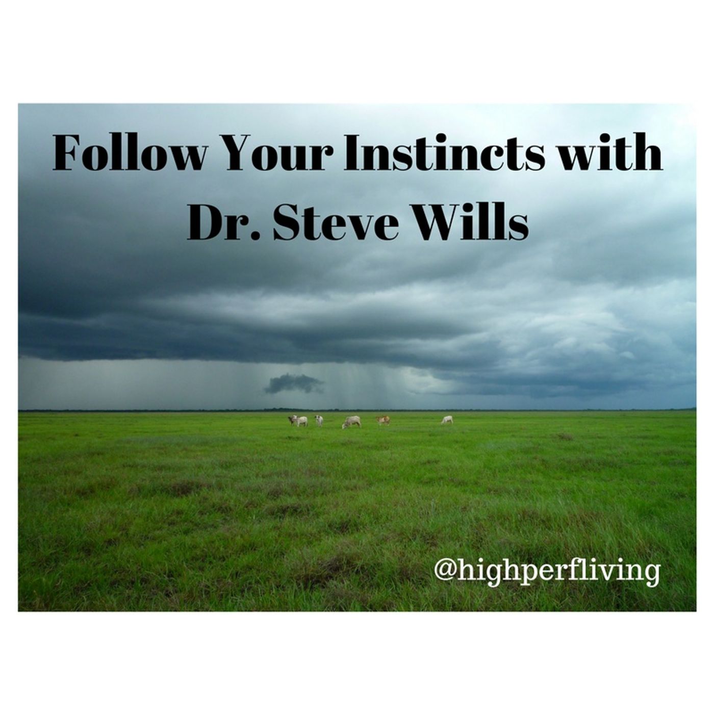 Follow Your Instincts with Dr. Steve Wills episode artwork