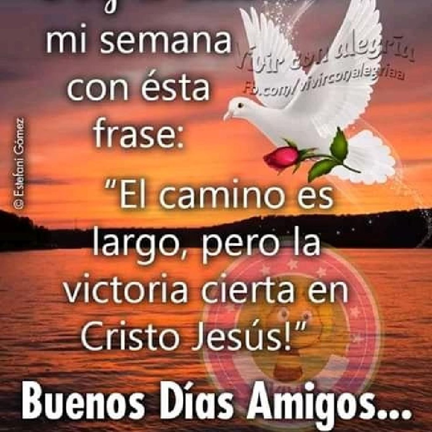 El Poder Del Evangelio de AProCristiano