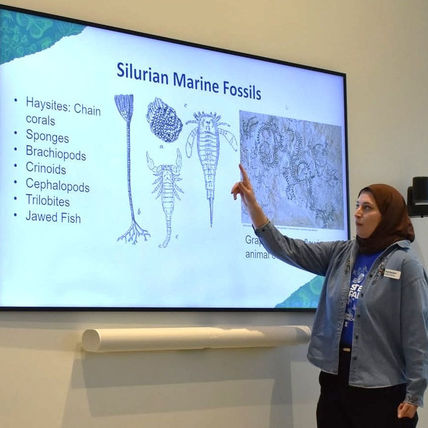 U of I Extension to hold Illinois Valley fossils program Sept. 9 in Mendota episode artwork