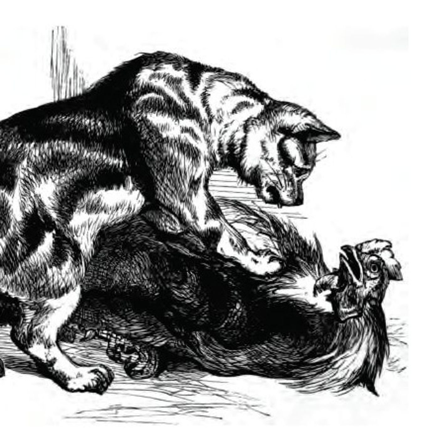 The Cat And The Cock episode artwork