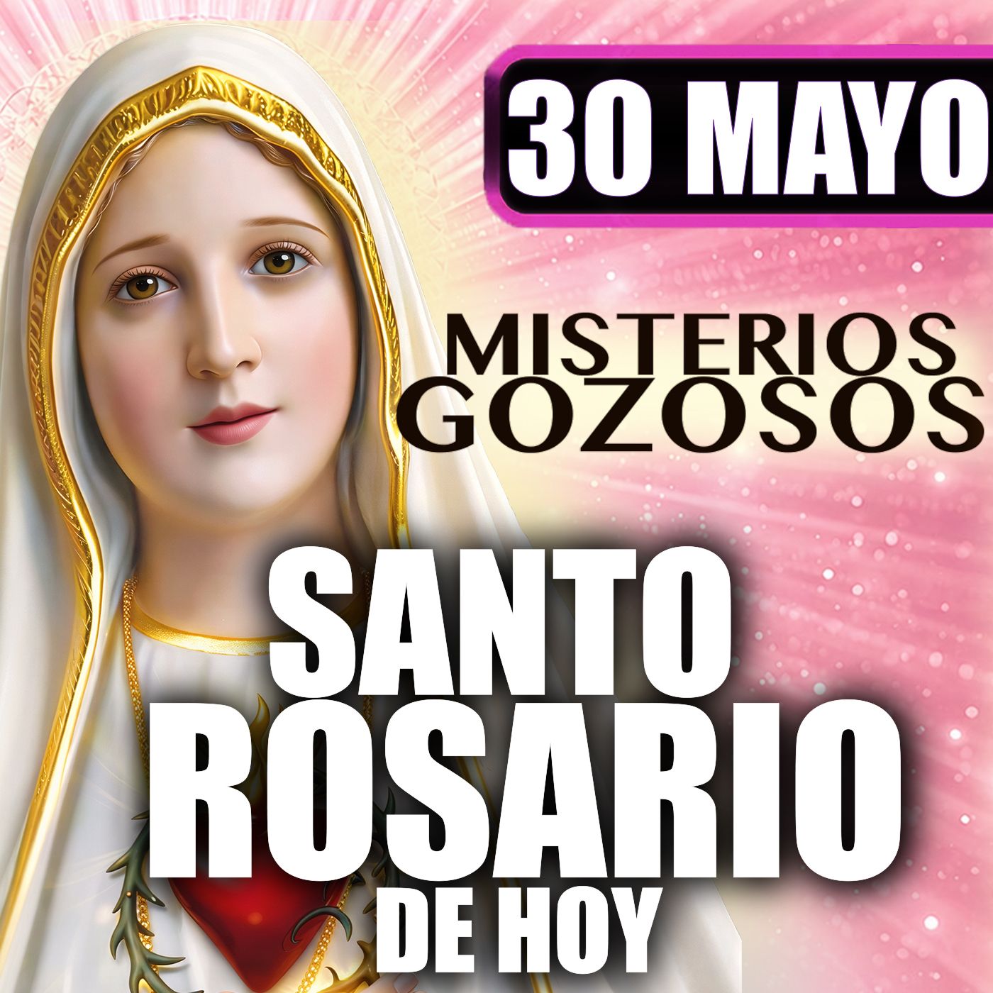 Santo Rosario Mes de María 🌸 Hora de Maria|30 de Mayo de 2026 | #MisteriosGozosos
