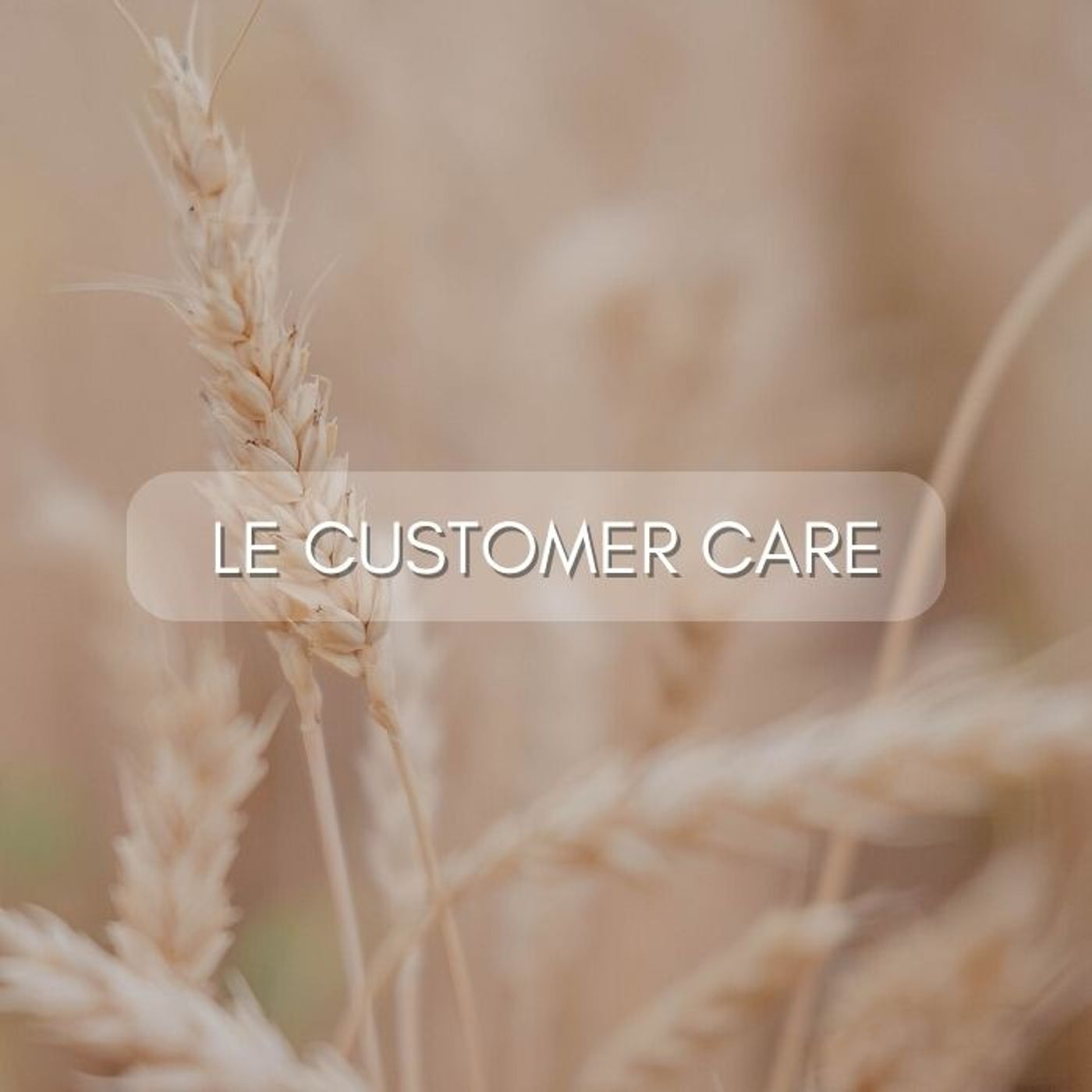 En équilibre Entrepreneuriat & Bien-être