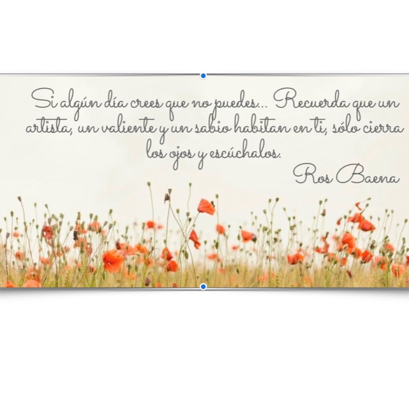 El show Una Escuela Para Ser Feliz