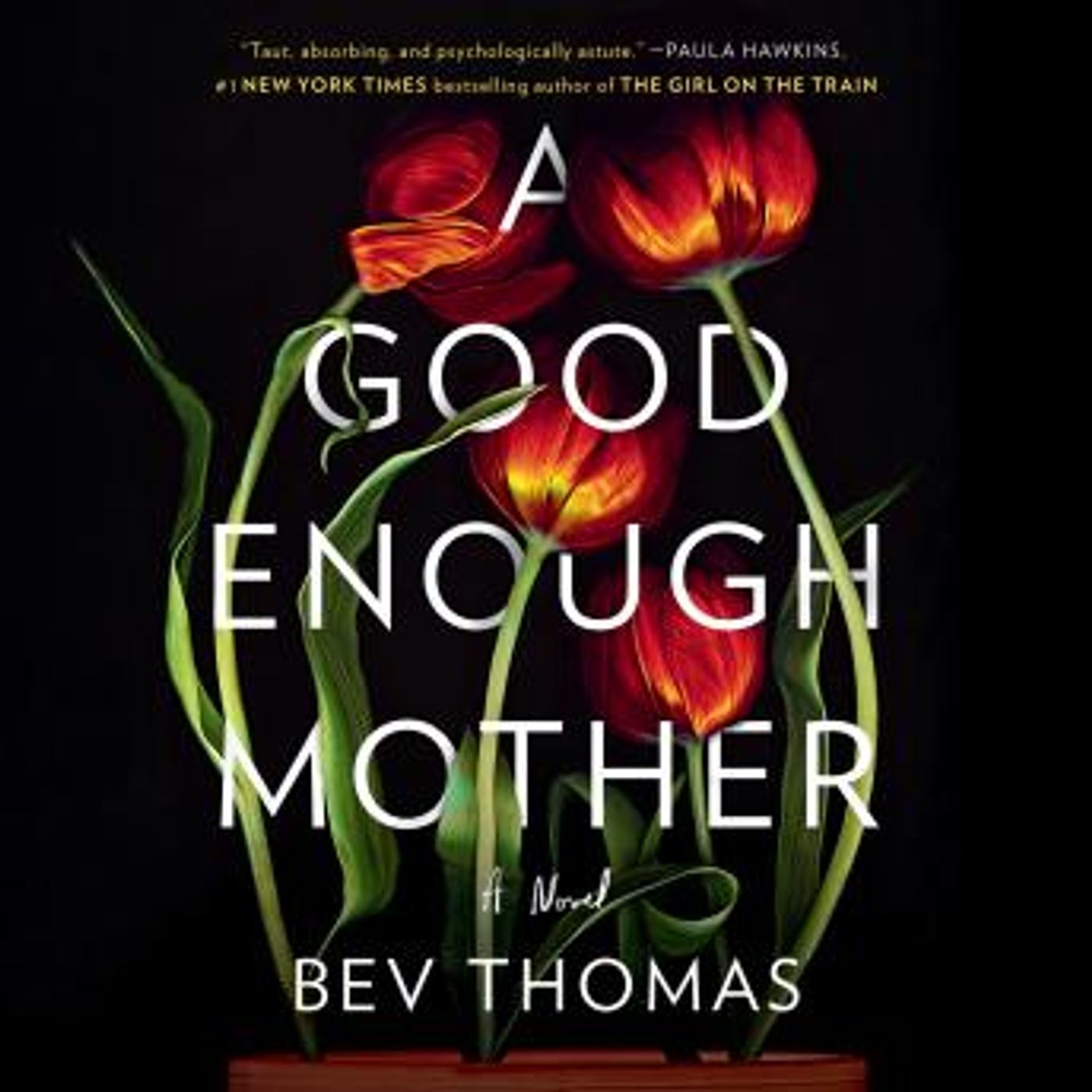 Download Best Full Audiobooks in Fiction, Drama