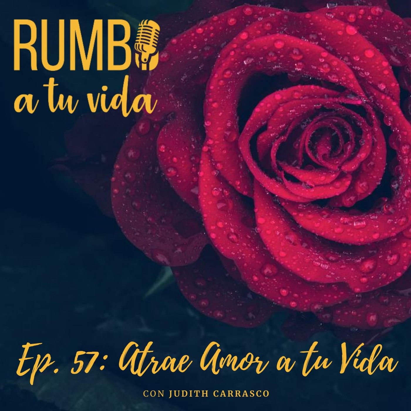 RUMBO A TU VIDA