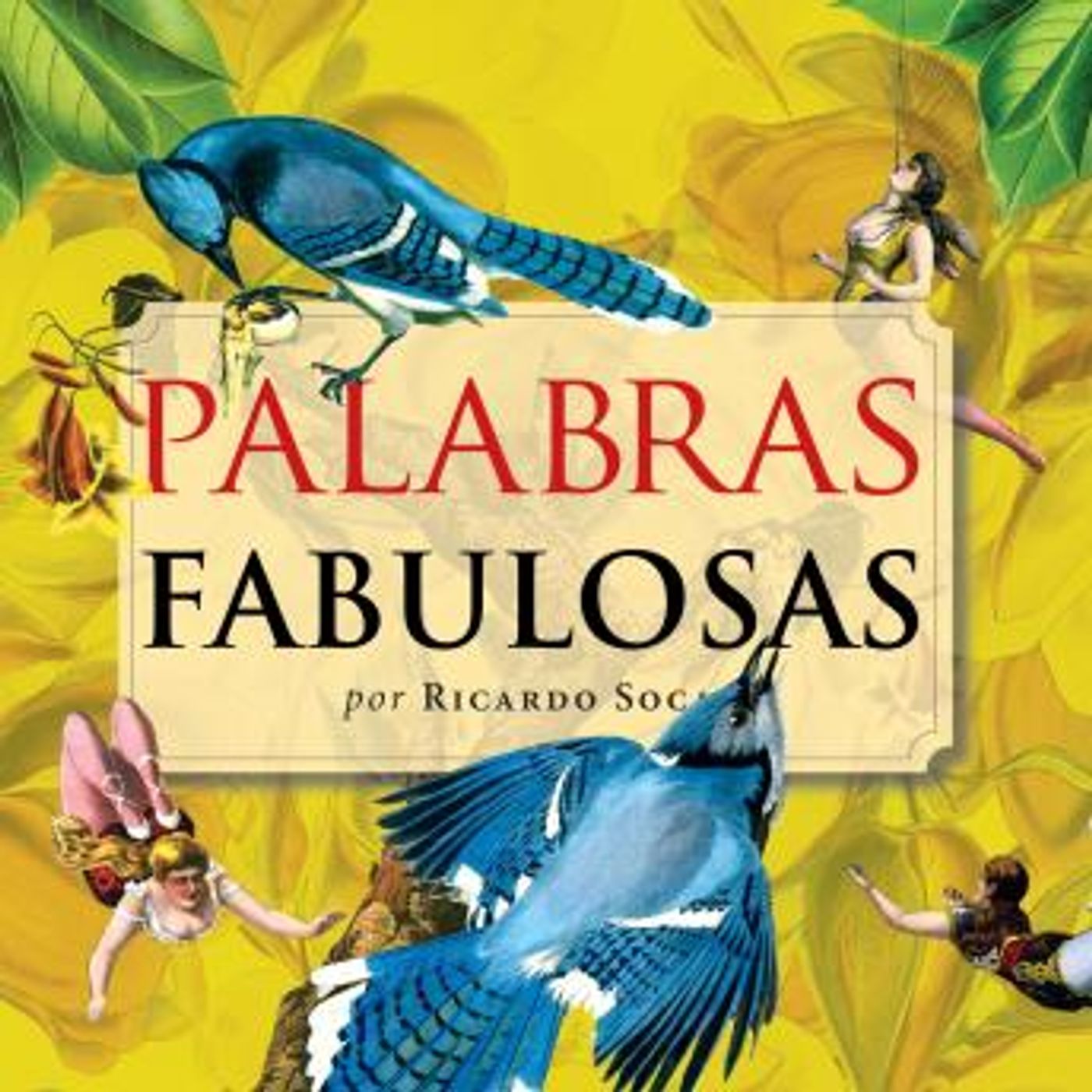 Grab the Top Full Audiobooks in Non-Fiction, Language Instruction