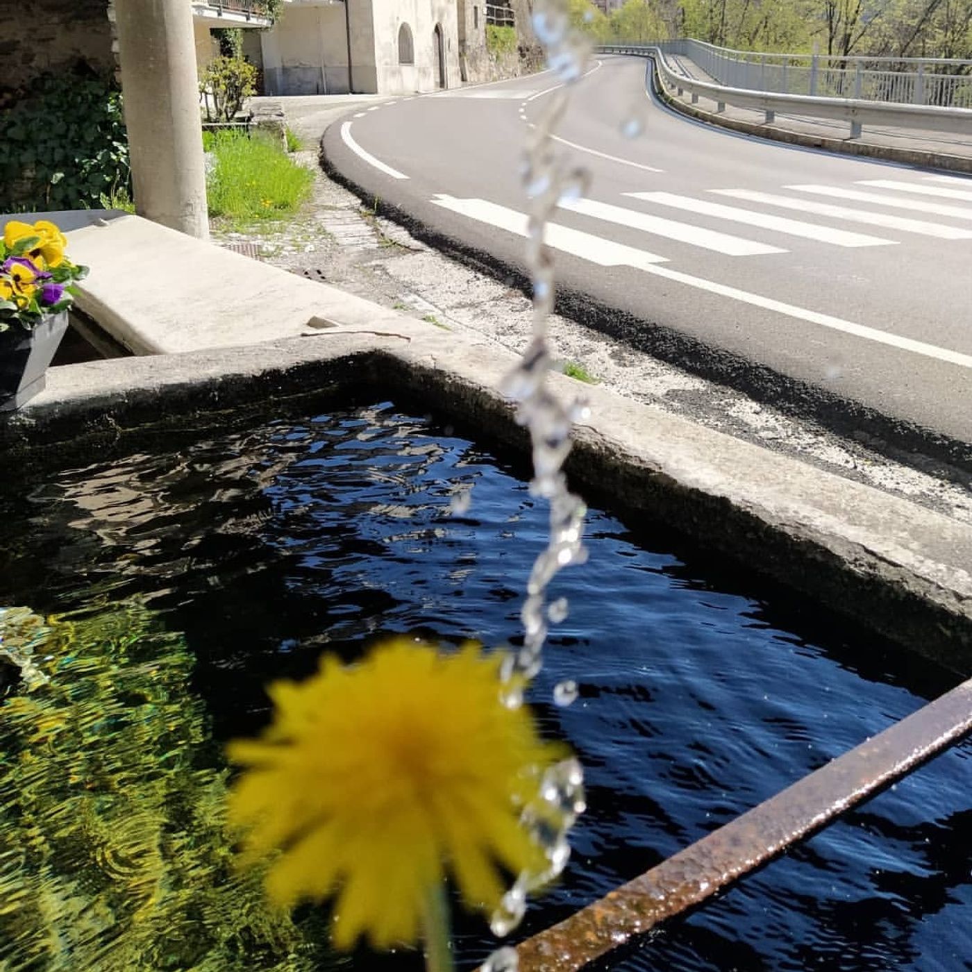 Tracce dalla quarantena