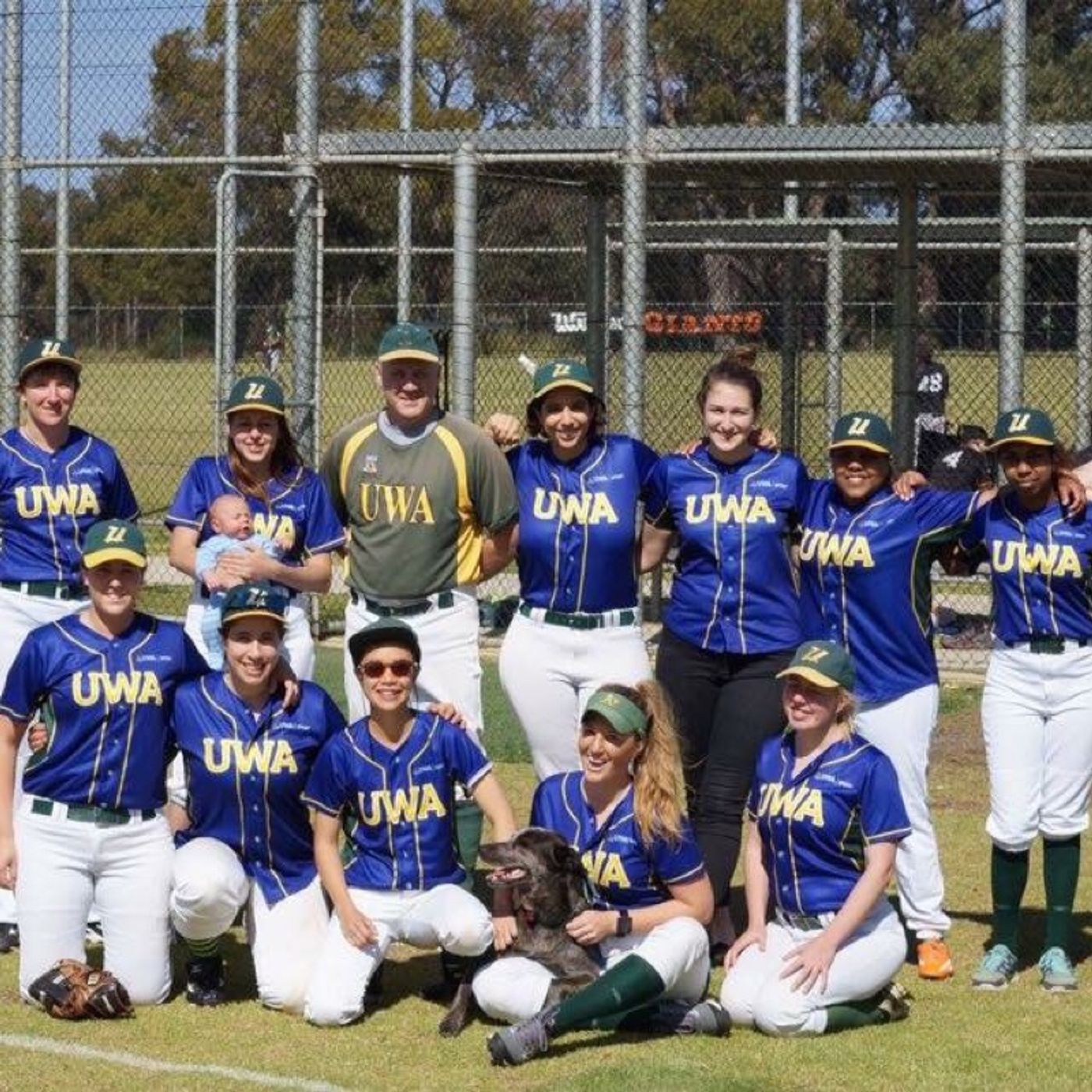 Ladywhips Baseball