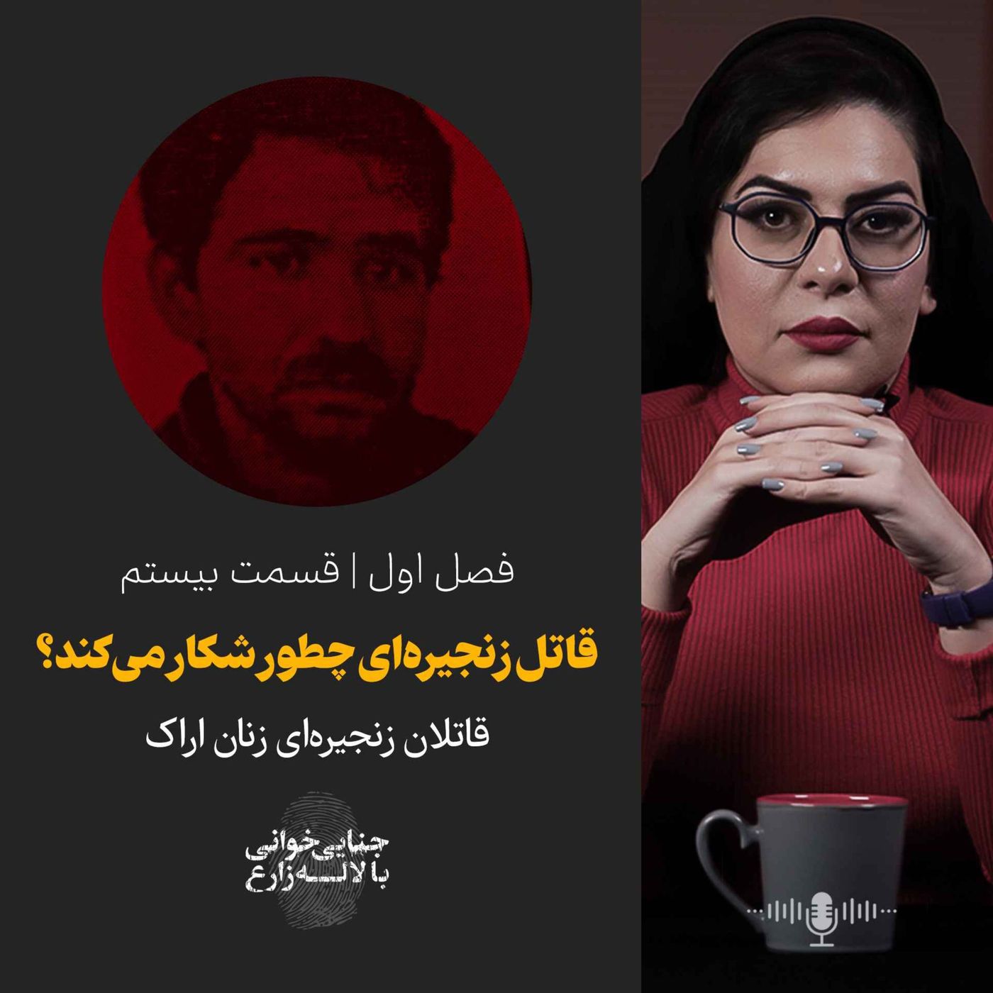 قسمت ۲۰ | قاتل زنجیره‌ای چطور شکار می‌کند؟
