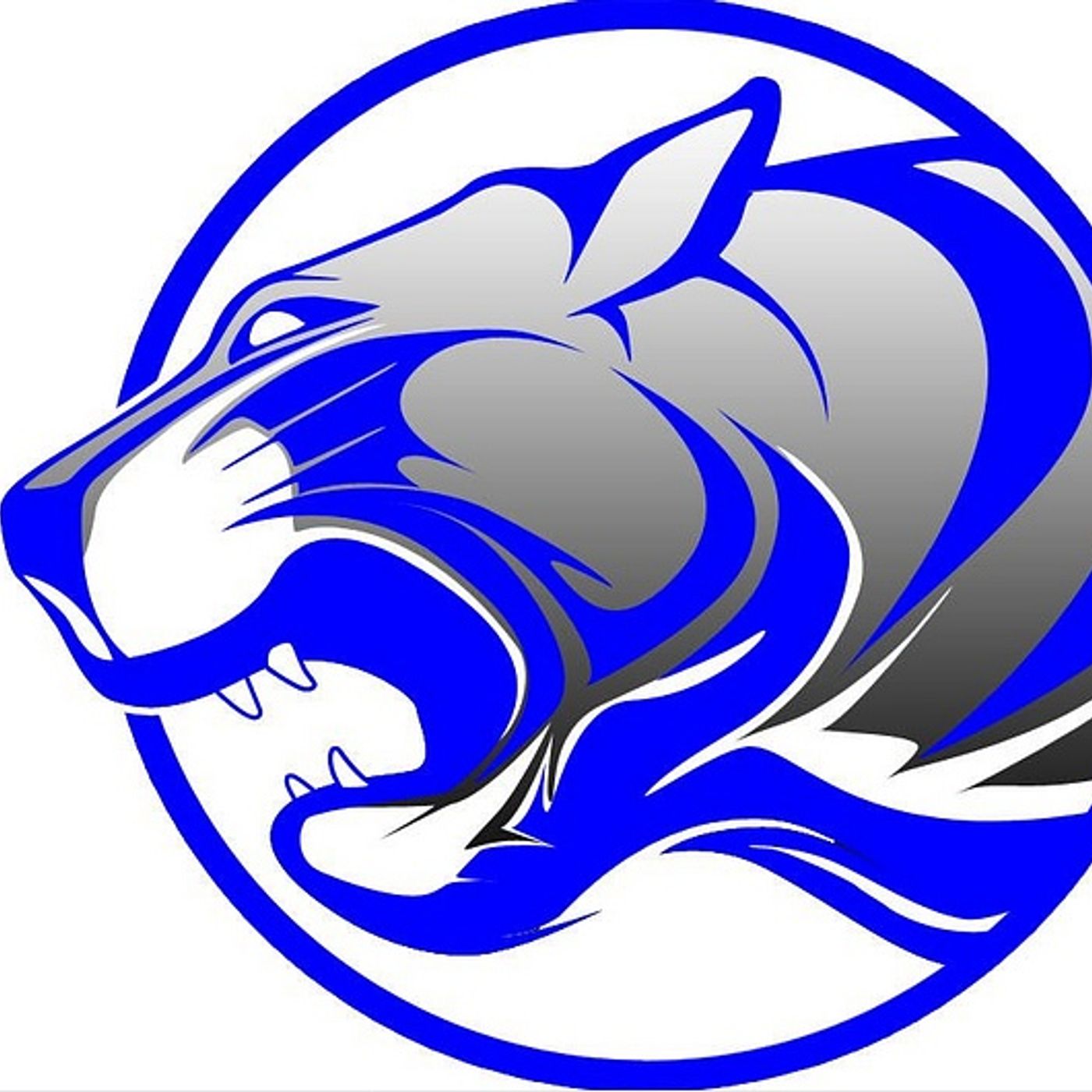 Princeton baseball breaks out for first win: Tuesday’s BCR roundup episode artwork